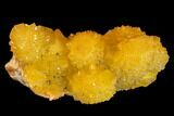 Sunshine Cactus Quartz Crystal Cluster - South Africa #132888-1